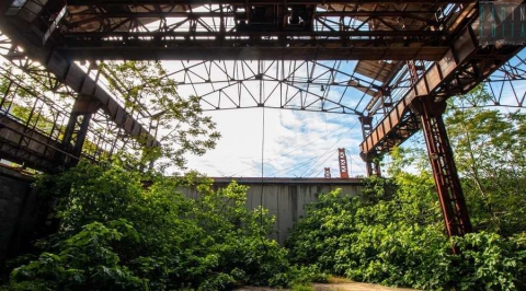 La giungla tra le lamiere: viaggio nelle grandiose e spettrali ex Acciaierie Pugliesi